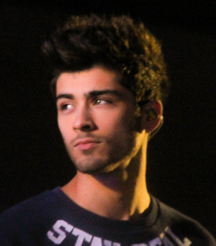 What Are Zayn’s Other Sources of Income? How much Zaya Malik's net worth? 